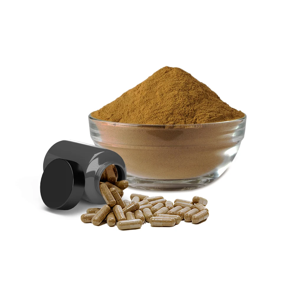 Hot Ganoderma Lucidum Plant Extract Capsule Relieves AllergiesShell Broken Lingzhi Red Reishi Spore Powder heathcare supplement