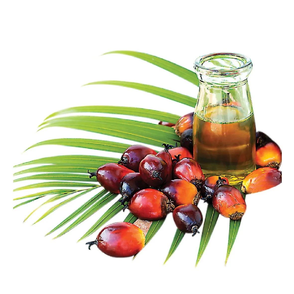 High Quality Malaysia Refined Palm Vegetable cooking Oil