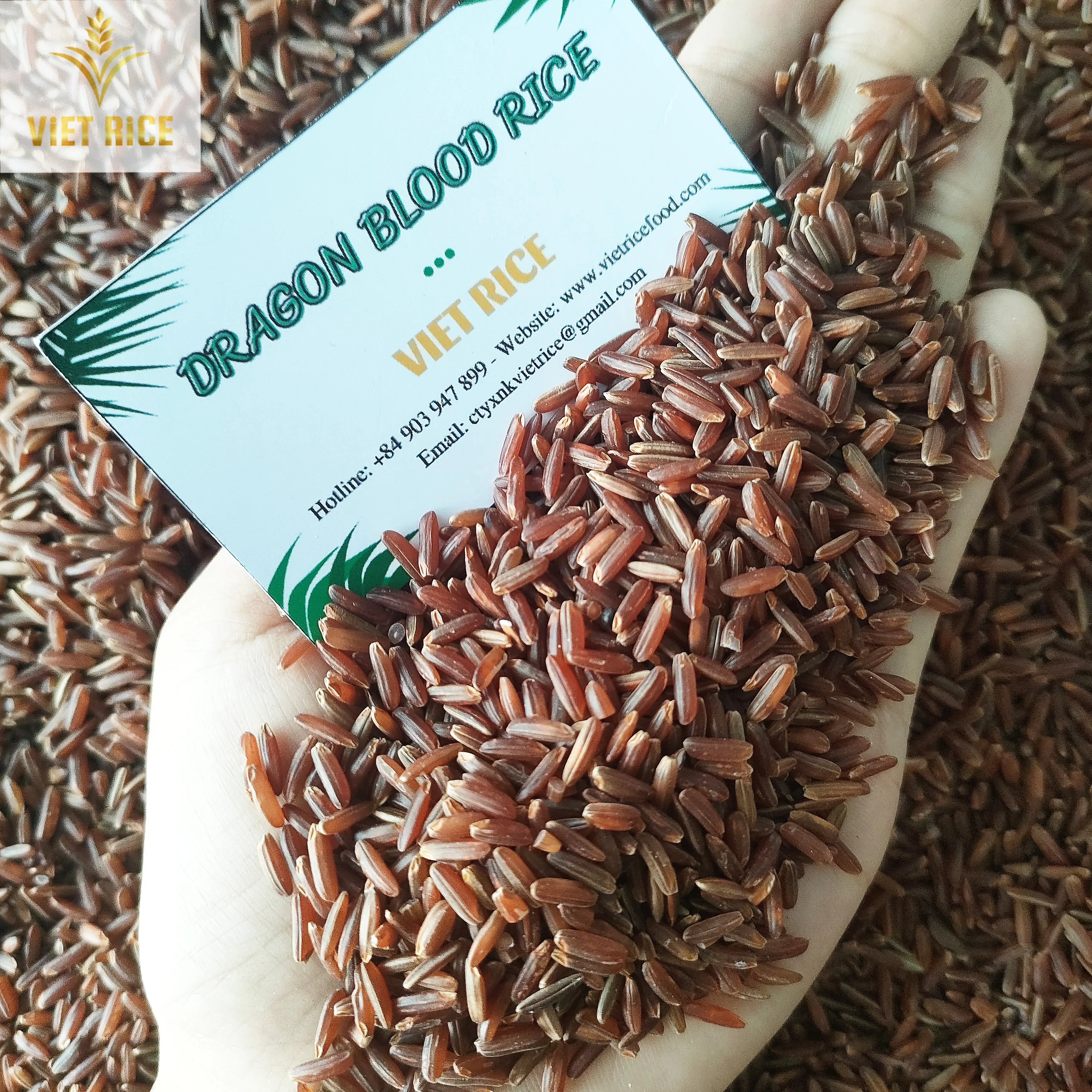 Organic Red Rice - Organic Rice For Wholesale From Vietnam Whatsapp +84837944290