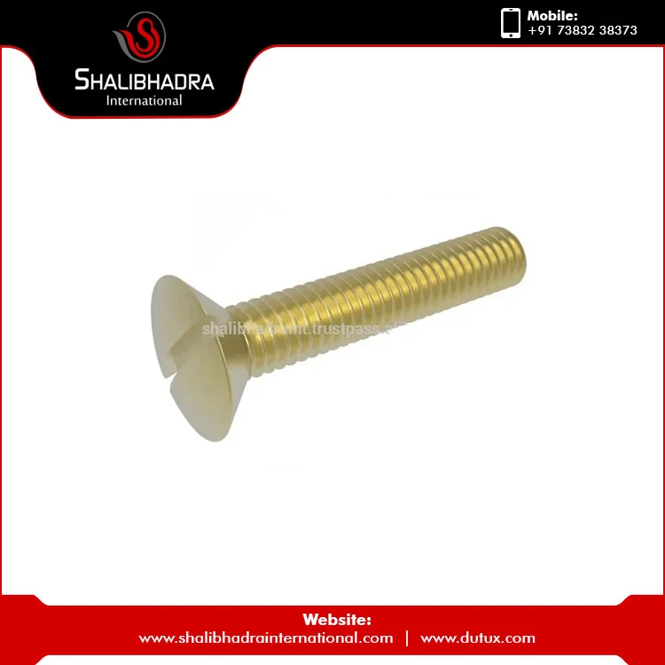 Wholesale Price Chrome Plated Brass Machine Screws Custom Sizes Indian Manufacturer M3 Metric Thread Size Stainless Steel Screw