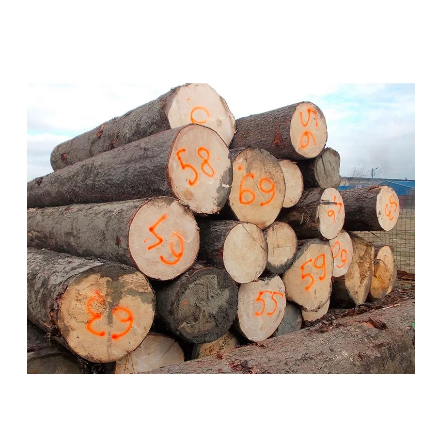 Kiln-Dried Seasoned Spruce Oak Pine Teak Walnut Round Logs-Diverse Hardwood Timber for Furniture Including Eucalyptus Wood