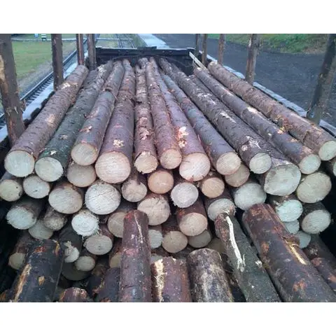 High quality Eucalyptus Logs plank square paulownia timber wood logs