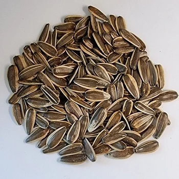 Sunflower seeds Snacks Nut & Kernel snacks New Crop Best Quality Packaging Bulgarian Origin Snacks BRC