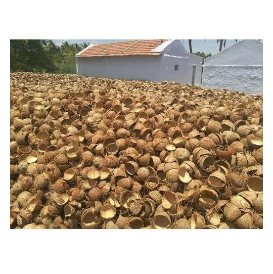Wholesale Price Raw Coconut Shell Material Agriculture Waste Bulk Stock Available For Sale