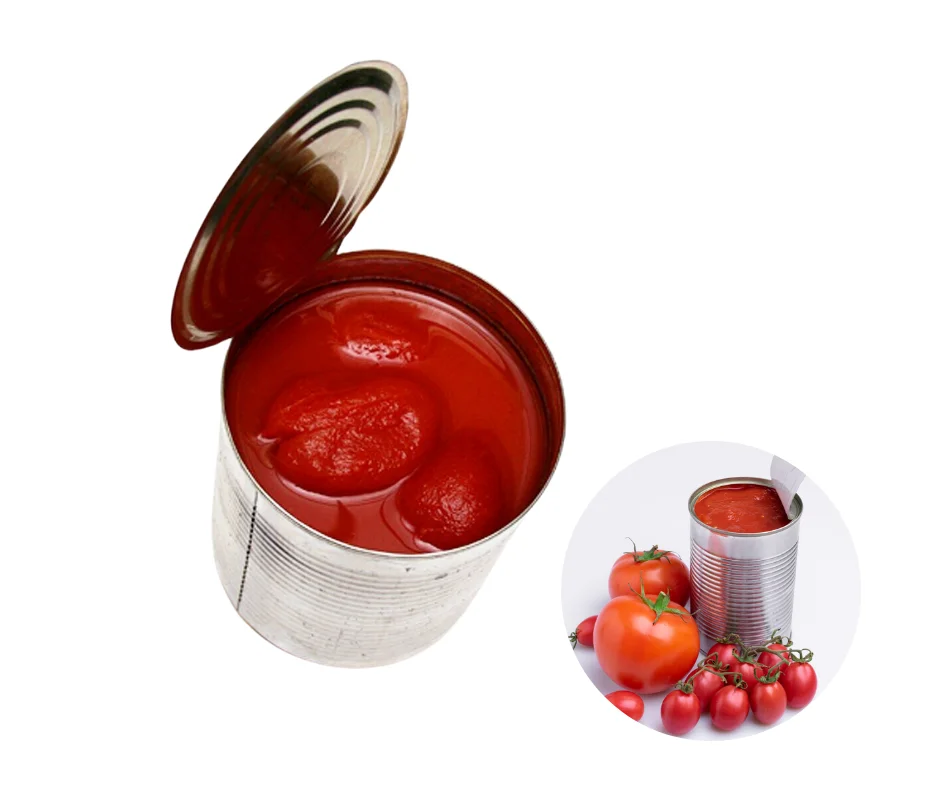 CHEAP PRICE Hot Sale Vietnam Manufacturer Supply Tasty High Standard Vegetable Canned TOMATO in TOMATO JUICE 580ml/20oz/30oz