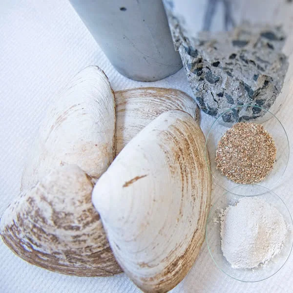 High Quality oyster powder for animal feed scallop shell powder