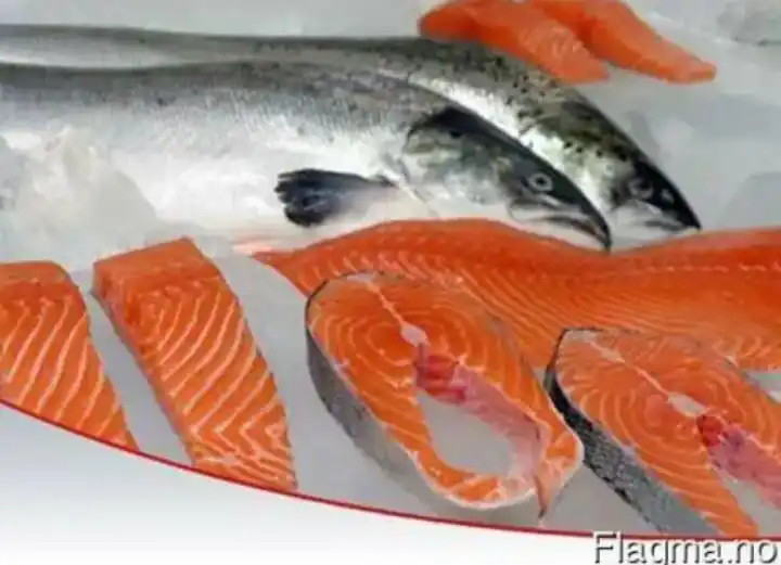 Wholesale Frozen Salmon Fish frozen salmon smoked fish salmon shoe