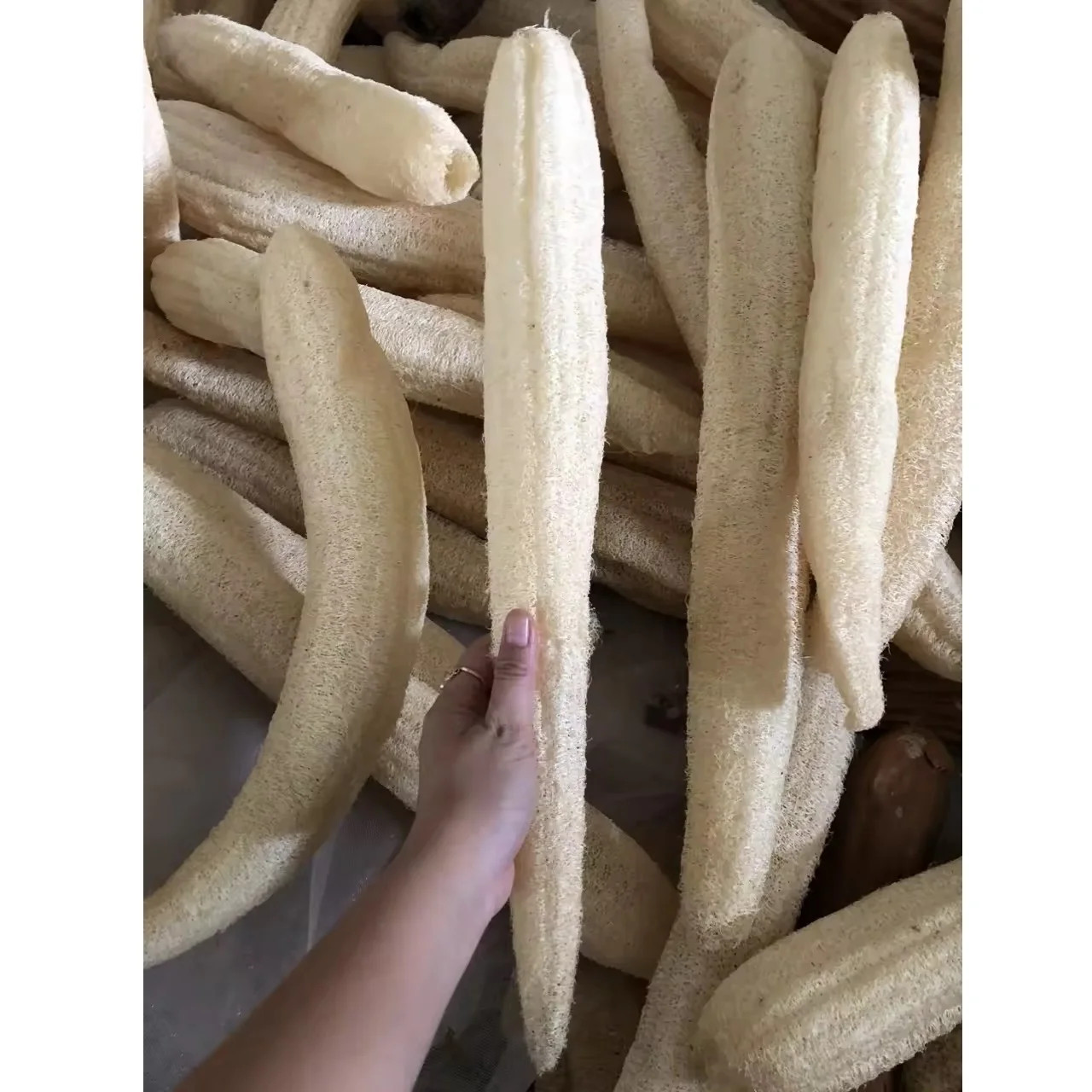 Bathing Size Removing Low MOQ Loofah Back Scrubber Eco Friendly Product OEM Support Smell Body Loofah Customize In Vietnam