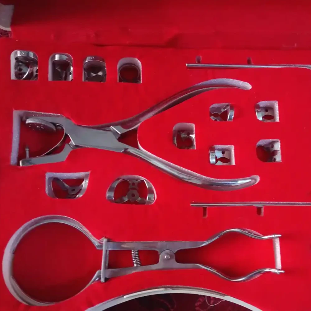 Endodontic Rubber Dam Kit With Clamps Set OF 12 Pcs And Autoclavable Stand Rack Dental Endo Orthodontic Clamps Set