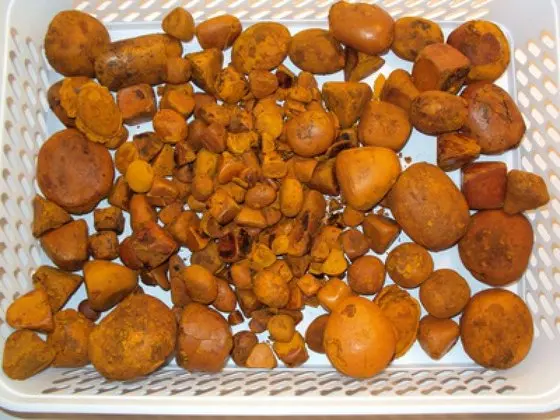 Бычья корова желчные камни для продажи + 27739729209