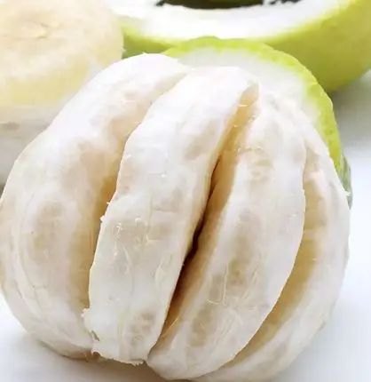 new crop top quality fresh white grapefruit