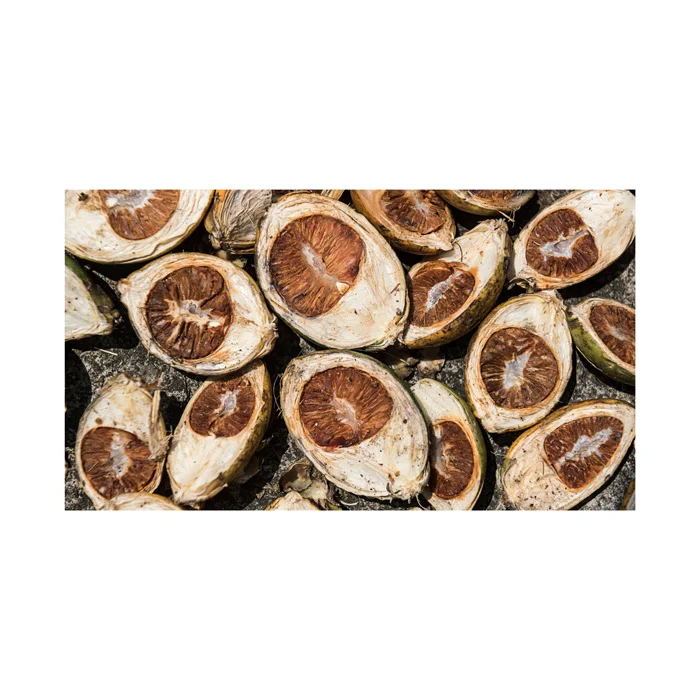 Betel Nut Dried Supari in Hot Sale With High Quality Newly Crop in Ready For Export