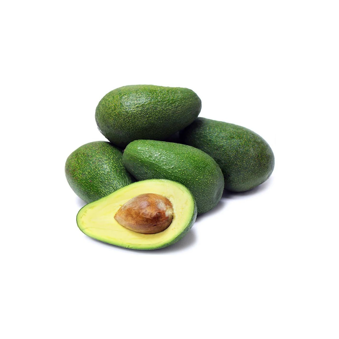FRESH AVOCADO with HIGH QUALITY and BEST PRICE