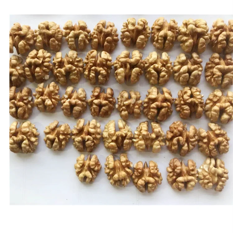 Factory Supply Lowest Price Walnut Inshell Wholesale Cheap Price Exporters