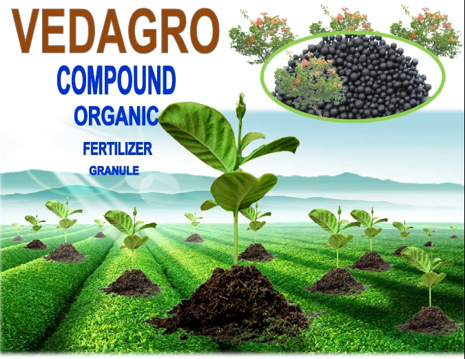 COMPOUND ORGANIC FERTILIZER GRANULE NPK:8-2-4 WINTER SEASON