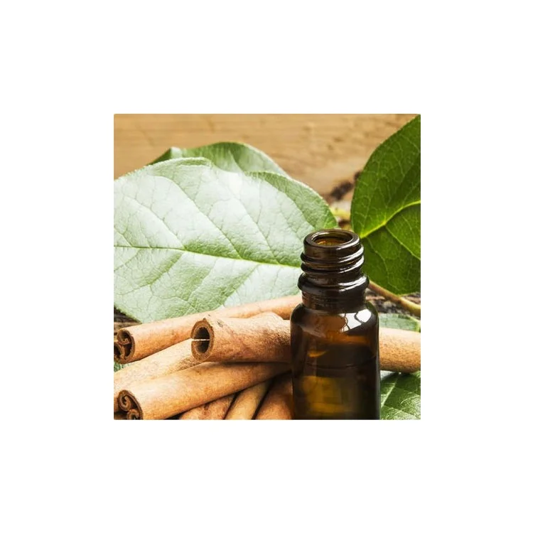 High Quality Organic Cinnamon Leaf Oil for Sale