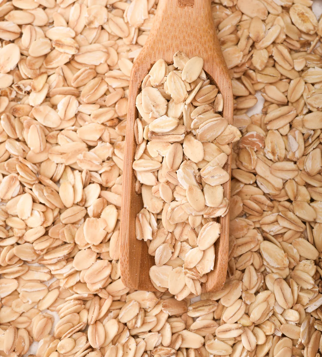 Wholesale Non GMO Oats Grain | Organic Oats Seeds | Flake Rolled Oats