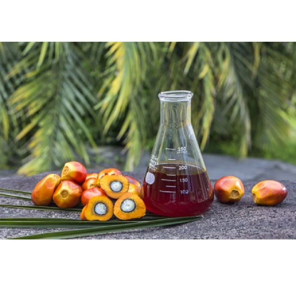 Natural Healthy Refined Cooking Oil Machine Top Wood Motor Packaging Automatic Frying Looking for Companies Needing Palm Oil