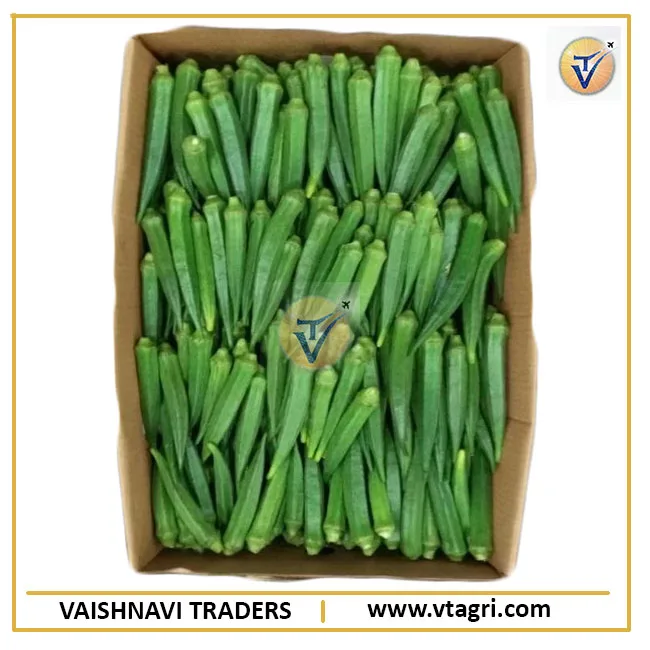Top Grade Fresh Okra - Fresh Indian Lady Finger - Green Lady finger - Fresh Okra supplier