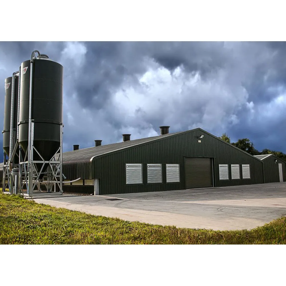 cheap layers cage 1000 chickens poultry farm house broiler chicken house poultry farm design