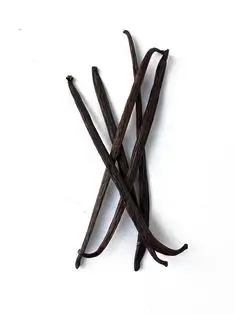 Madagascar vanilla beans for sale | Best Quality
