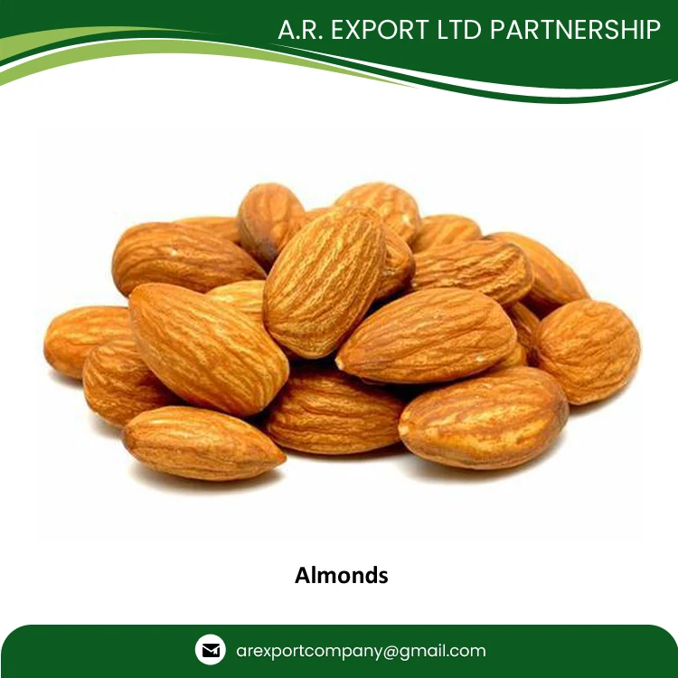 Raw Almond Nuts Wholesale Exporter of Genuine Quality Grade A Fresh Raw Almonds Available in Bulk at Great Price