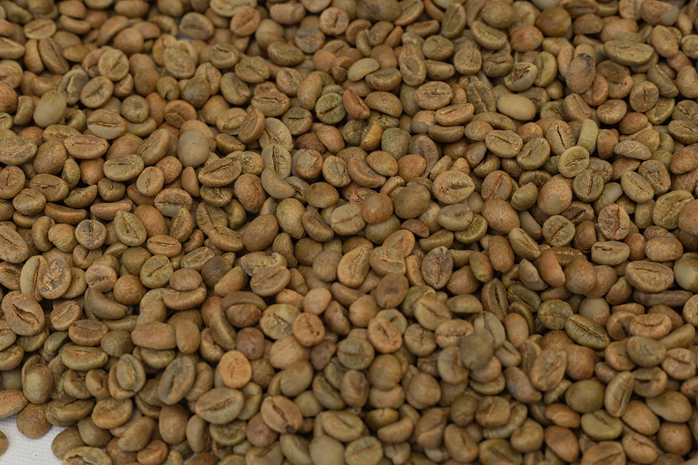 Arabica Coffee Beans Size 16,18