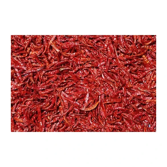 Wholesale Supplier Best Quality Chili Pepper Seeds For Sale In Cheap Price high quality natural dry red hot chili