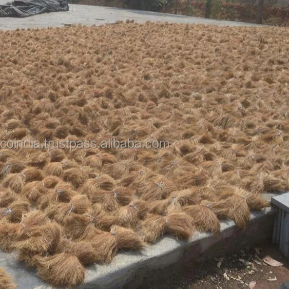 Coconut Coir Bristle Fiber