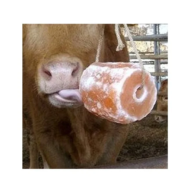 Natural Himalayan Beneficial Animal Licking Salt with full of minerals & proteins Carved from highest Asian Salt mines