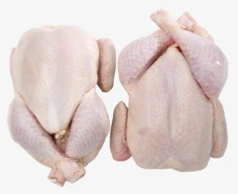 Top Quality Quality Healthy And Natural Whole Chicken Frozen Whole Chicken Poultry Meat Chicke