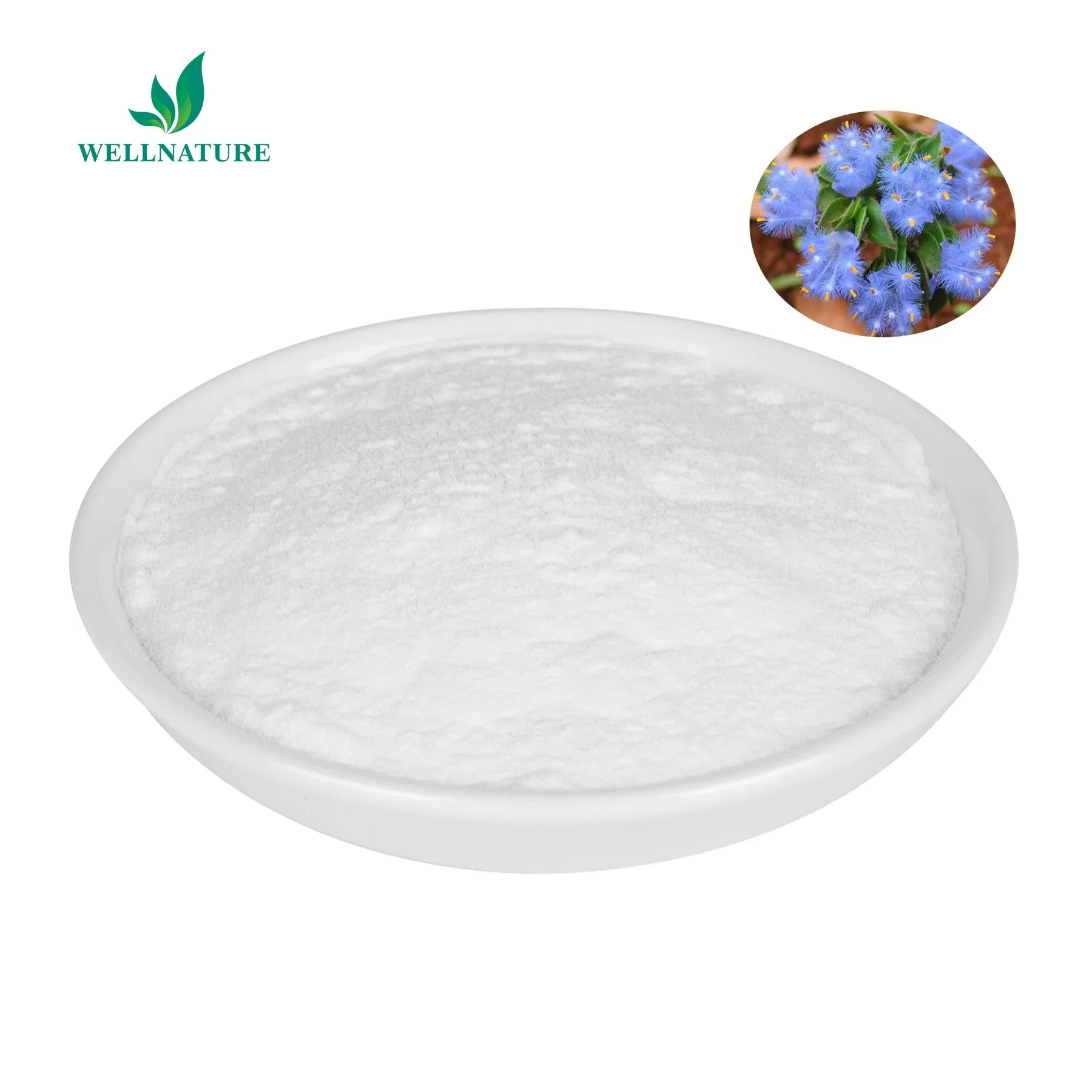 Wholesale Bulk Beta Ecdysterone Powder Price 95% Ecdysone Extract Powder