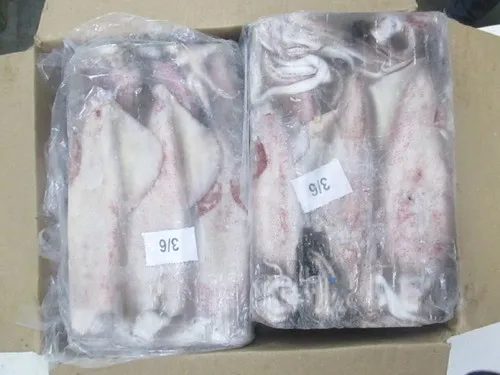 Низкая цена замороженный игольчатый кальмар очищенный из