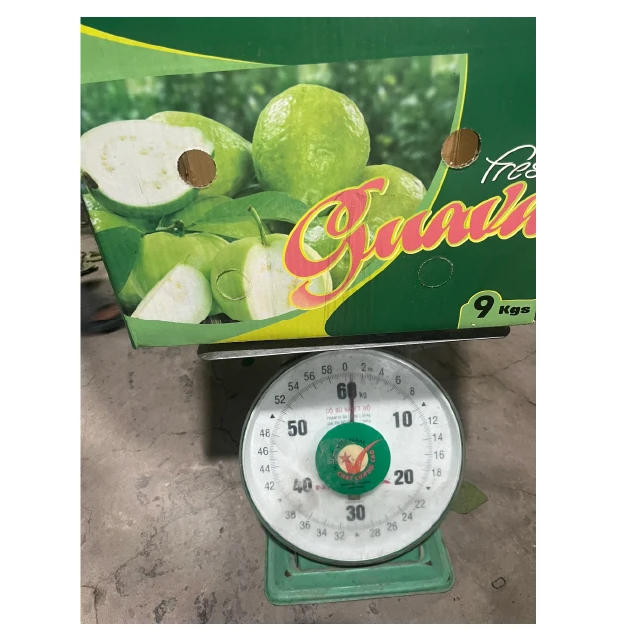 Свежие продукты из гуавы по самой низкой цене от Вьетнама
