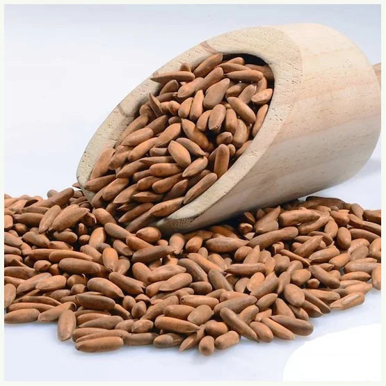 Top Grade Speciality Pine Nut Kernels Chilgoza Pine Nuts Nuts Top Grade Pine Top Quality Blanched