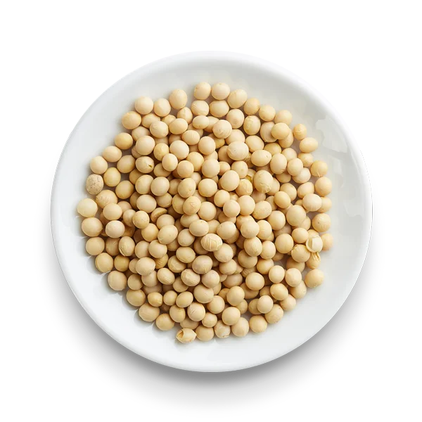 Original Soybeans/ Cheap Price Soya Beans Best Selling Soy Bean Seeds