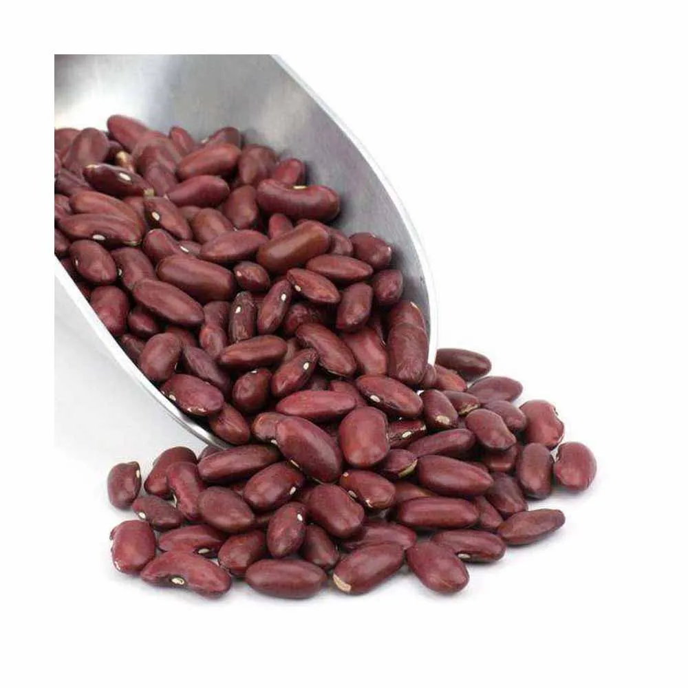 Long Shape Pinto Beans--2023 New Harvest