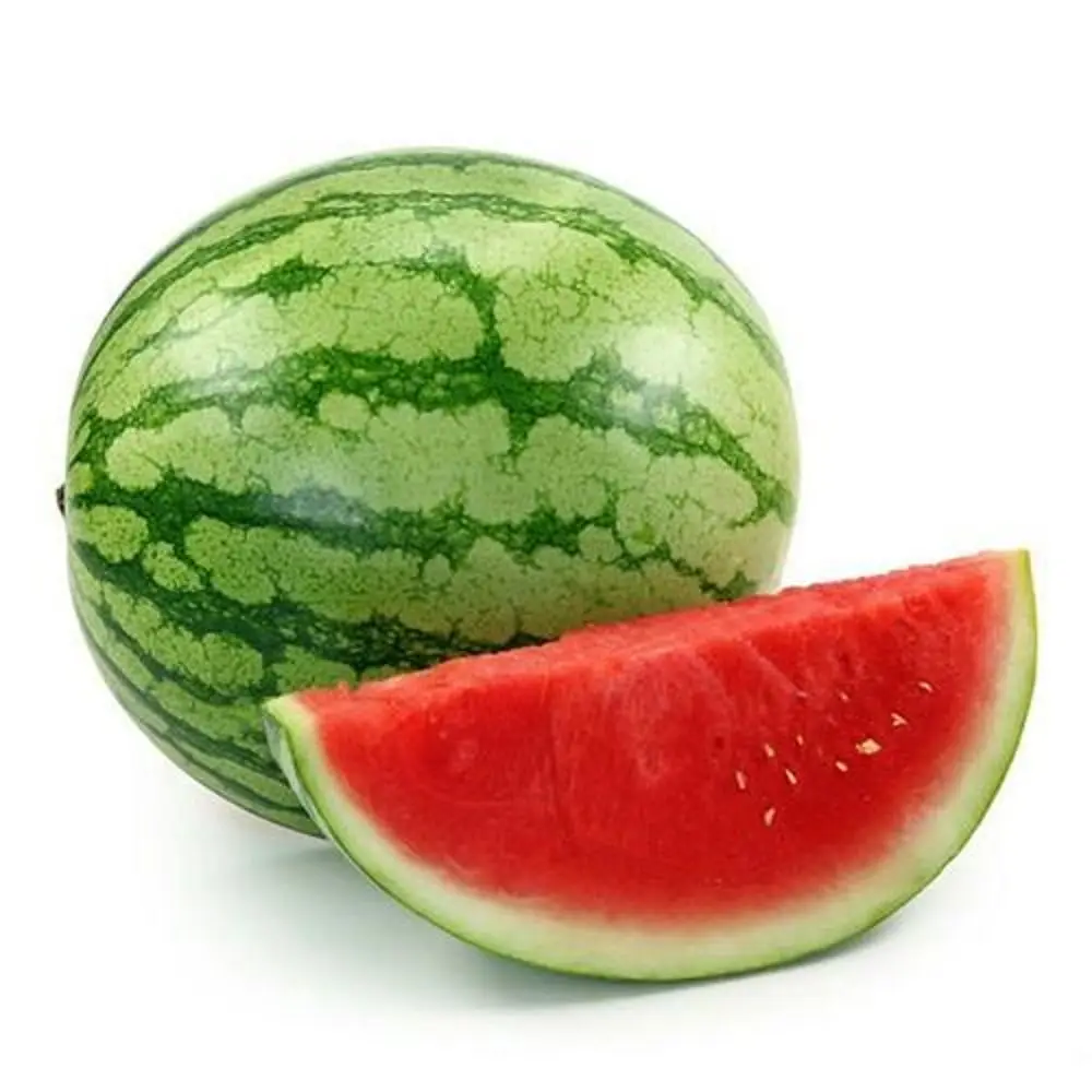 Top Quality Fresh VIETNAMESE Water Melon- Fresh Watermelon wholesale competitive price to China FREE TAXES