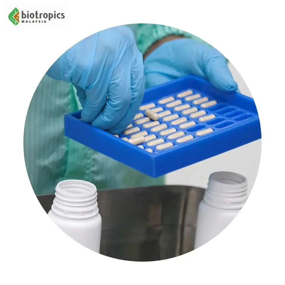 Private Label Malaysia Alixir Tongkat Ali 50 Mg per Capsule Personal Care Supplement for Sports and Muscle Building