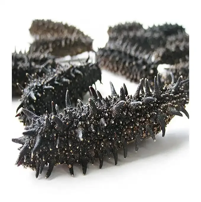 Dried nutritious Mexican sea cucumber