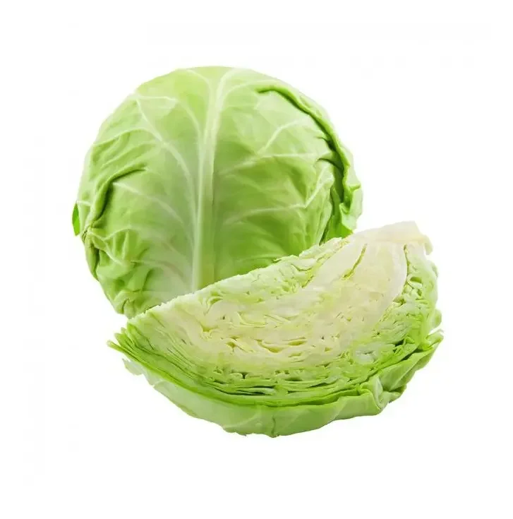 Cheap Price Fresh Cabbage for sale
