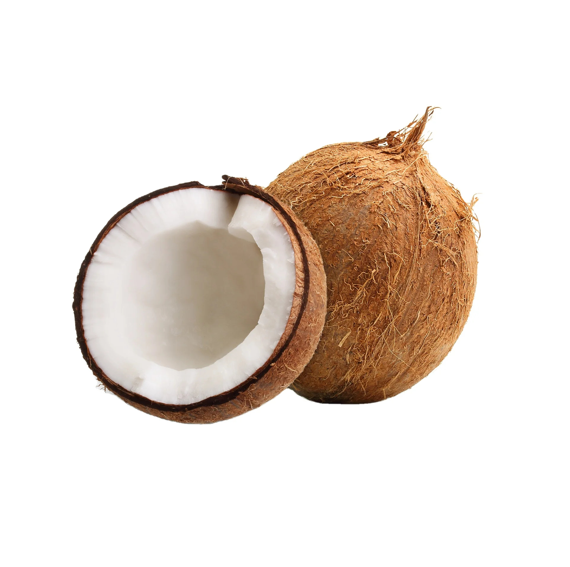 Vietnamese fresh coconut old coconut used for drinking or processing dishes carton or bag coconut