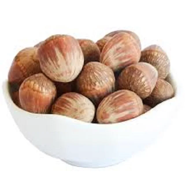 100% Organic Shell Raw Hazelnut / Kernels