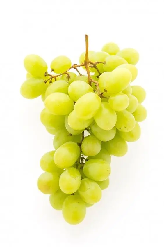Fresh Grapes z.jpg