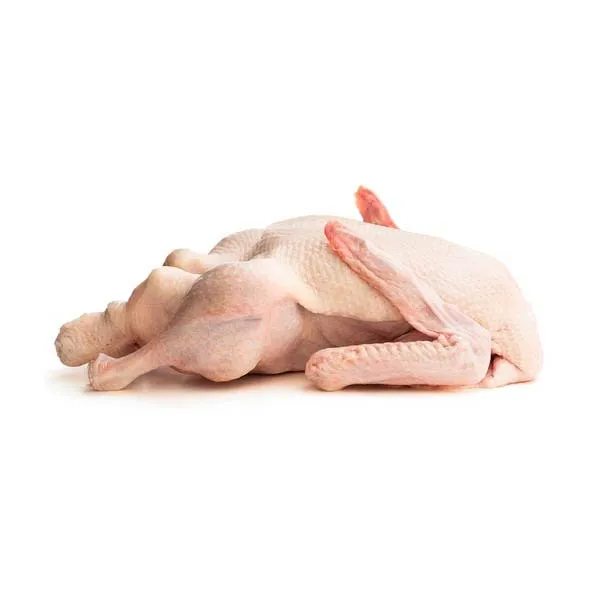 Halal Frozen Whole Duck/ Frozen Duck Feet and Duck