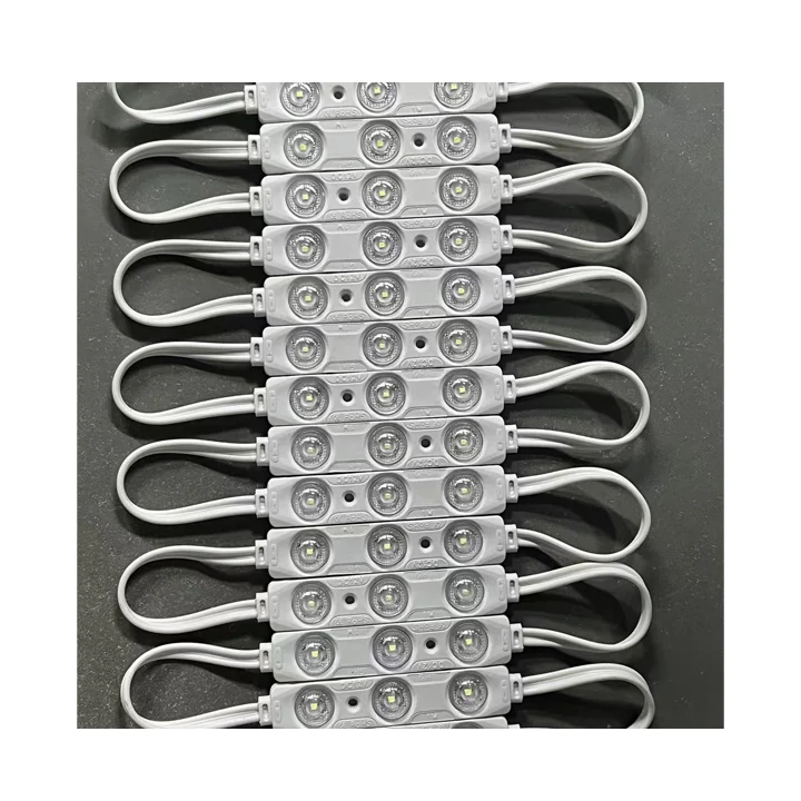 Factory Price LED Module Waterproof IP67 DC12V 3LED Module Light