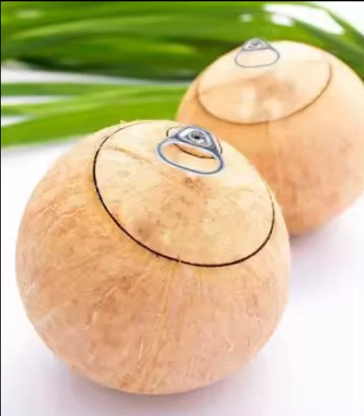 Exporter Tropical Fruit/ Easy Open Coconut Fruit/ Coconut Fresh Young From Vietnam (WhatsApp: +84 39 434 1900)