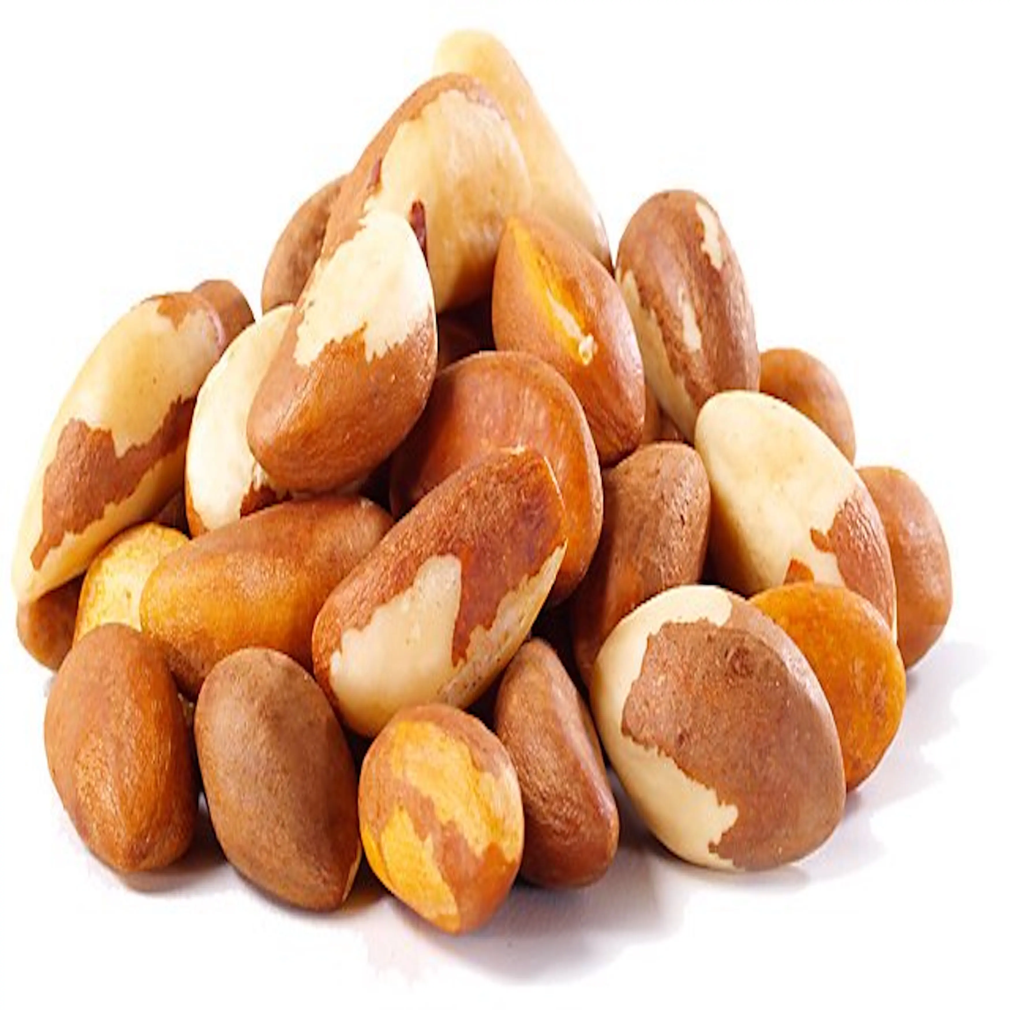 Best Selling Dried Organic Brazil Nut for Export