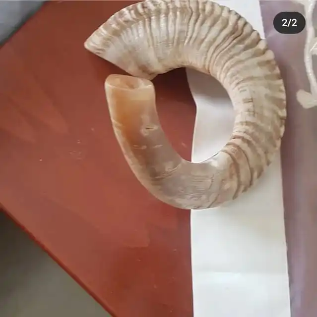 Рог из овечьей шерсти