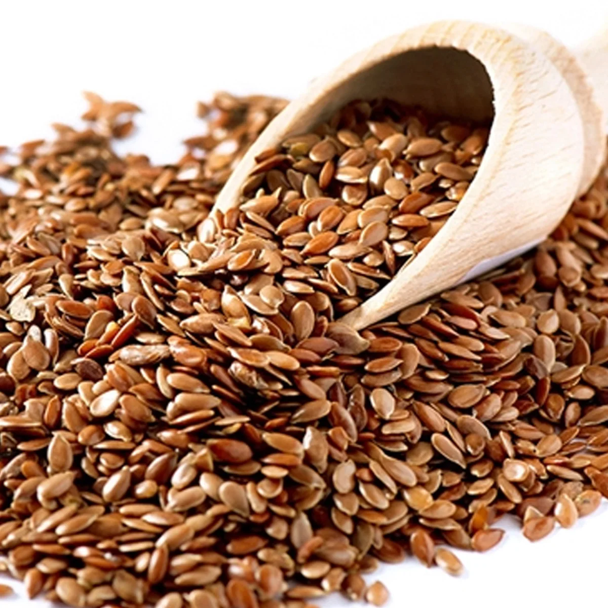 Reasonable Price Best Quality Flax Seeds Available Brazil origin Flax seed alsi seeds